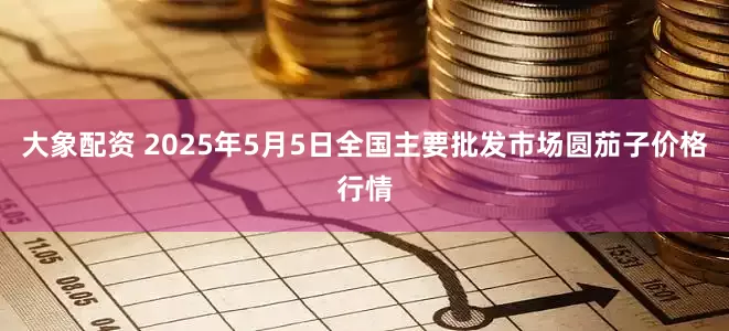 大象配资 2025年5月5日全国主要批发市场圆茄子价格行情