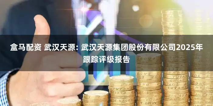 盒马配资 武汉天源: 武汉天源集团股份有限公司2025年跟踪评级报告